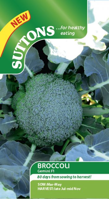 SUTTONS Suttons Broccoli Gemini F1 Seeds