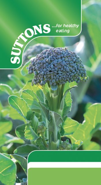 SUTTONS Suttons Bellaverde Sibsey Broccoli F1 Seeds