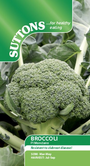 SUTTONS Suttons Broccoli F1 Monclano Seeds