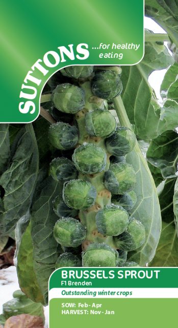 SUTTONS Suttons Brussels Sprouts Brenden F1 Seeds