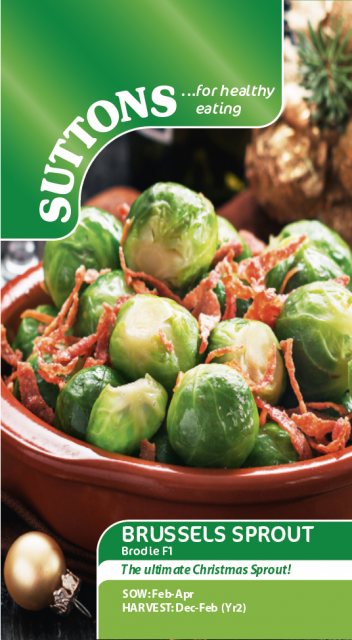 SUTTONS Suttons Brussels Sprout Brodie F1 Seeds