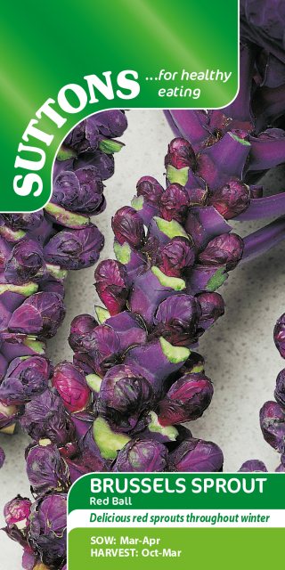 SUTTONS Suttons Red Ball Brussel Sprout Seeds