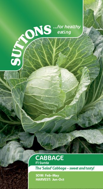 SUTTONS Suttons Cabbage F1 Sunta Seeds