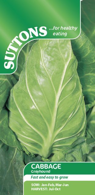 SUTTONS Cabbage Greyhound Seeds