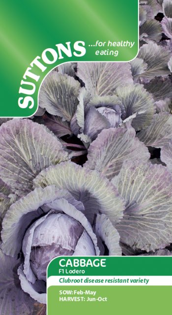 SUTTONS Suttons Cabbage F1 Lodero Red Seeds
