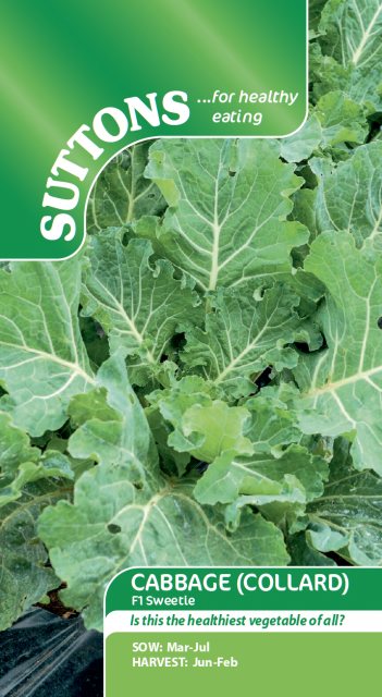 SUTTONS Cabbage F1 Sweetie Seeds