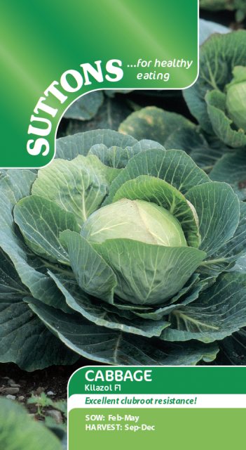 SUTTONS Cabbage Kilazol F1 Clubroot Resistant Seeds