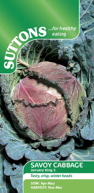 SUTTONS Suttons Savoy Cabbage January King 3 Seeds