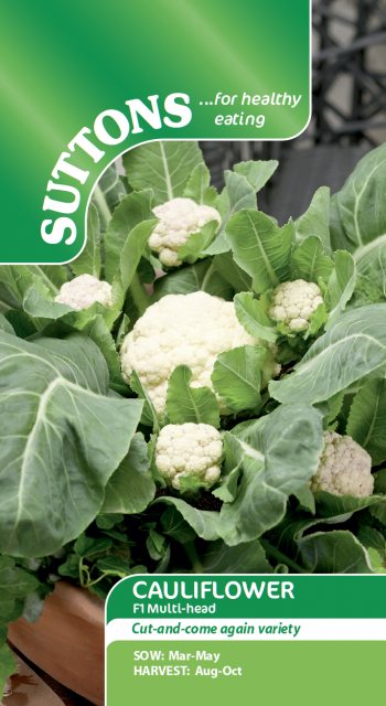 SUTTONS Suttons Cauliflower F1 Multihead Seeds