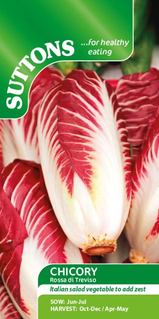 SUTTONS Suttons Chicory Rossa Di Treviso Seeds