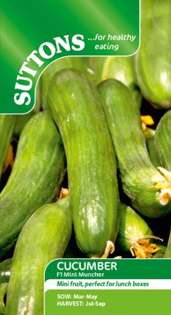 SUTTONS Suttons Cucumber Mini Muncher F1 Seeds