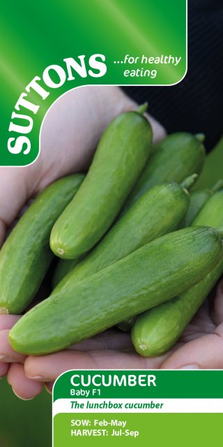 SUTTONS Suttons Baby Cucumber F1 Seeds