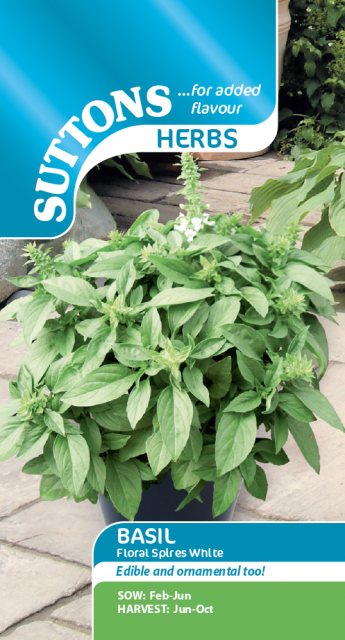 SUTTONS Suttons Basil Floral Spires White Seeds