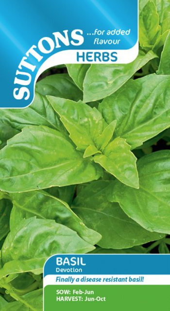 SUTTONS Basil Devotion Seeds