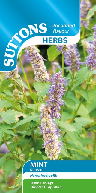 SUTTONS Suttons Korean Mint Seeds