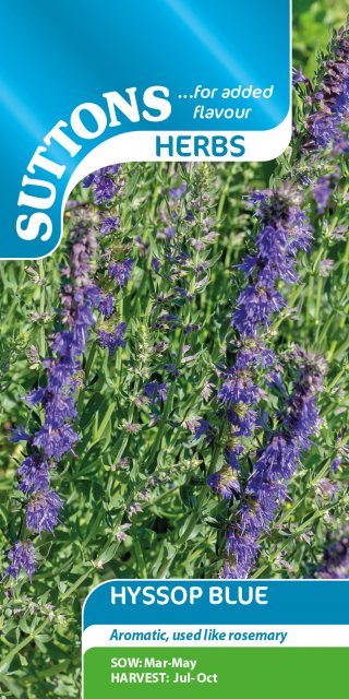 SUTTONS Suttons Blue Hyssop Herb Seeds