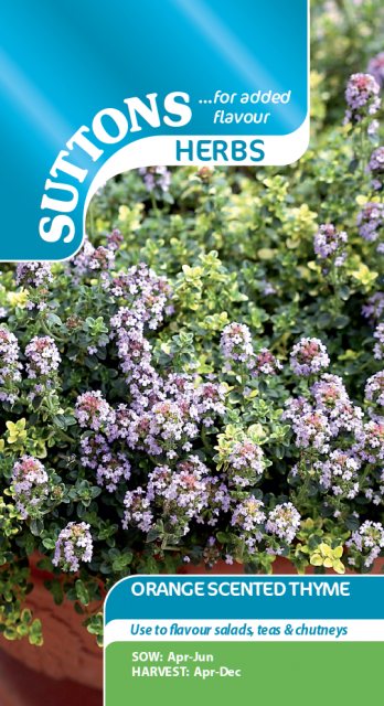 SUTTONS Sutton's Thyme Orange Scented Seeds