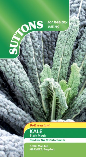 SUTTONS Kale Black Magic Seeds