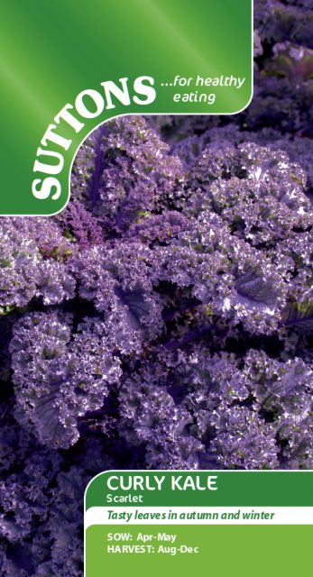 SUTTONS Curly Kale Scarlet Seeds
