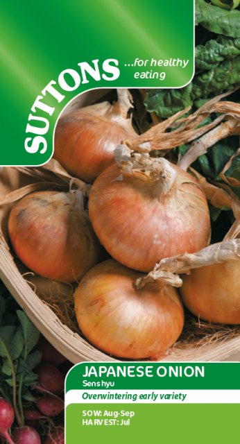 SUTTONS Suttons Japanese Onion Senshyu Semi-Globe Yellow Seeds