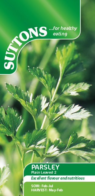 SUTTONS Suttons Parsley Plain Leaved 2 Seeds