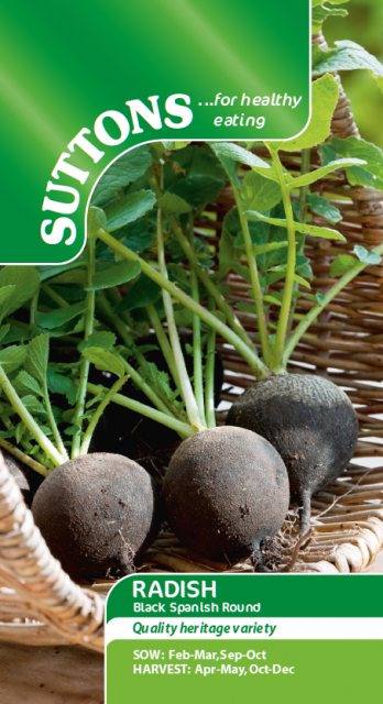SUTTONS Radish Black Spanish Round Seeds