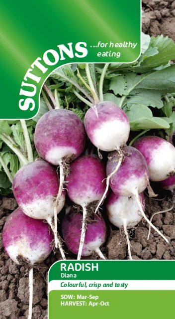 SUTTONS Suttons Radish Diana Seeds