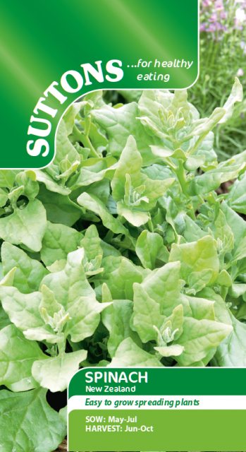SUTTONS Suttons Spinach New Zealand Seeds