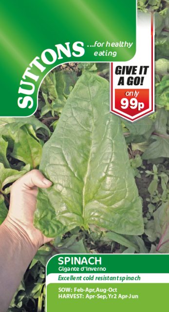 SUTTONS Spinach Gigante D'Inverno Seeds