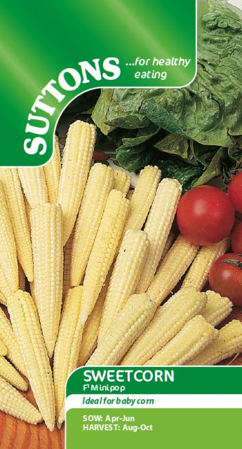 SUTTONS Sweet Corn Minipop F1 Seeds