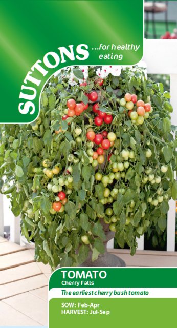 SUTTONS Tomato Cherry Falls Seeds