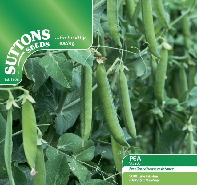 SUTTONS Pea Vivado Seeds