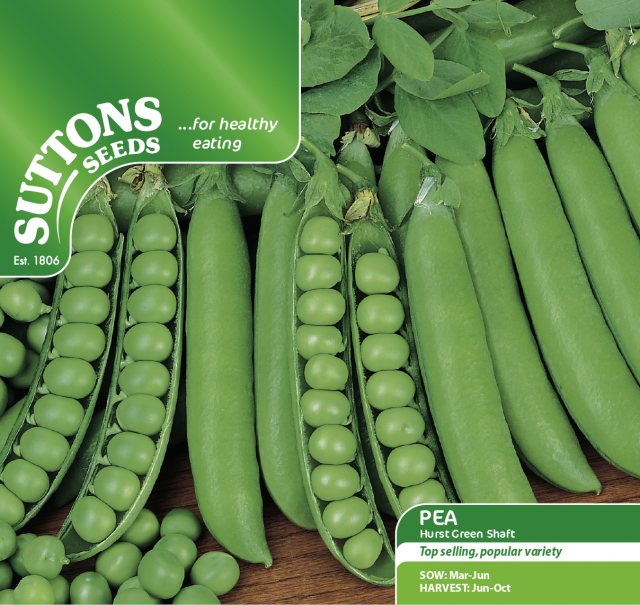 SUTTONS Pea Hurst Green Shaft Seeds