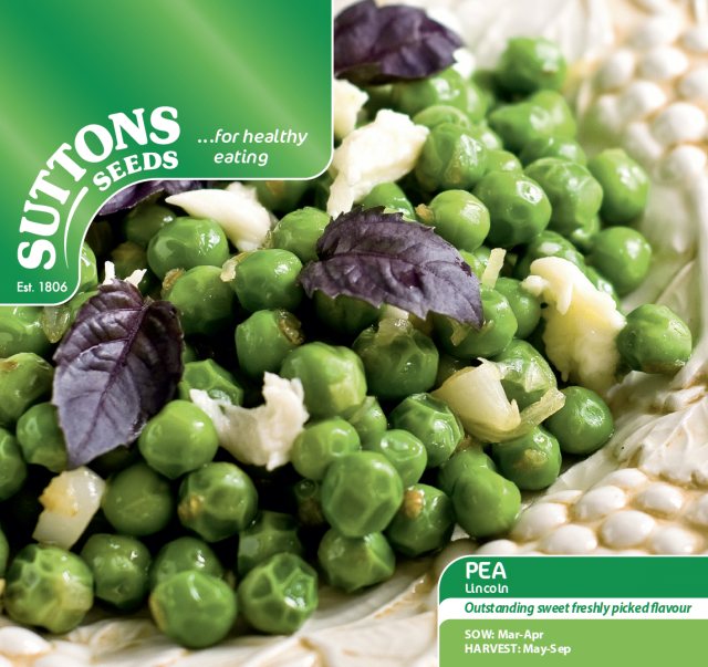 SUTTONS Pea Lincoln Seeds