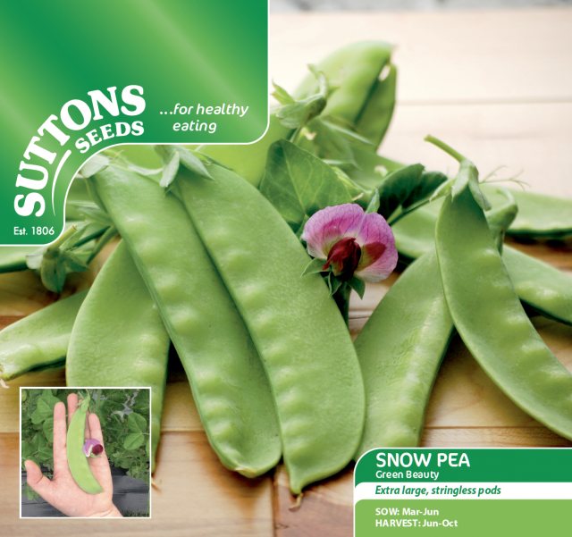 SUTTONS Snow Pea Green Beauty Seeds
