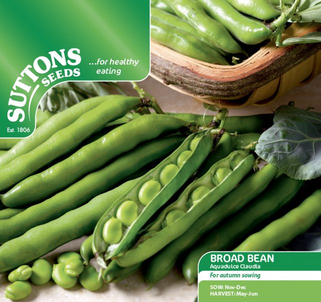 SUTTONS Broad Bean Aquadulce Claudia Seeds