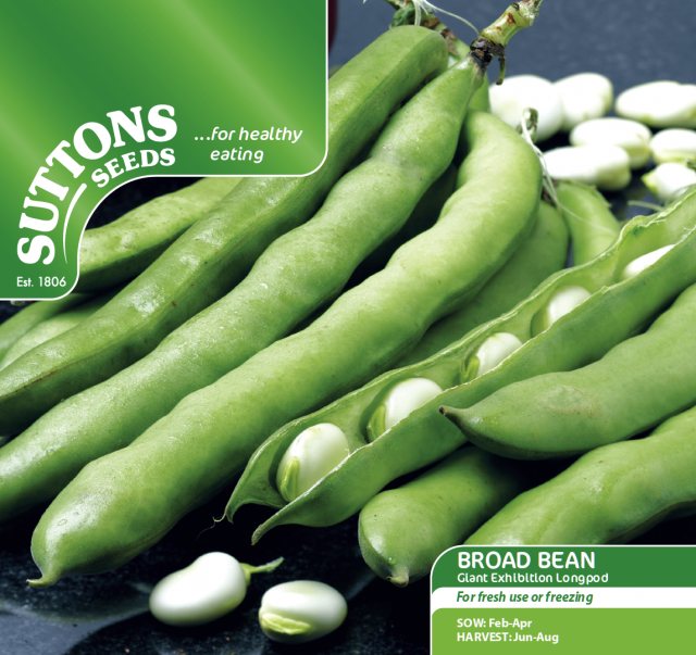 SUTTONS Broad Bean Giant Exhibition Longpod Seeds