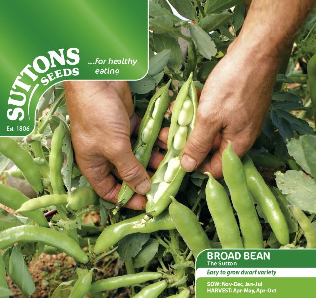 SUTTONS Broad Bean Sutton Dwarf Seeds