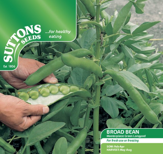 SUTTONS Broad Bean Masterpiece Green Longpod Seeds