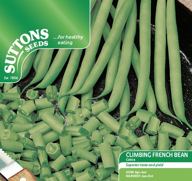 SUTTONS Climbing French Bean Cobra Seeds