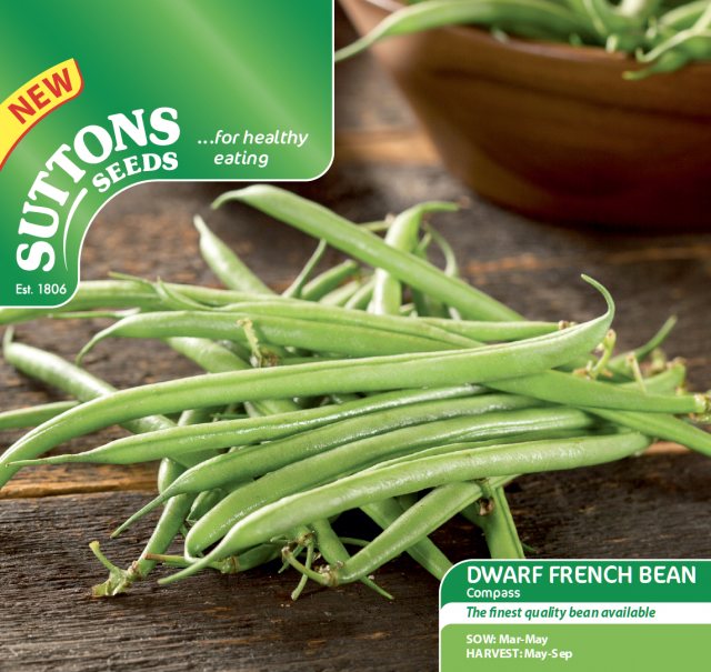 SUTTONS Dwarf French Bean Compass Seeds