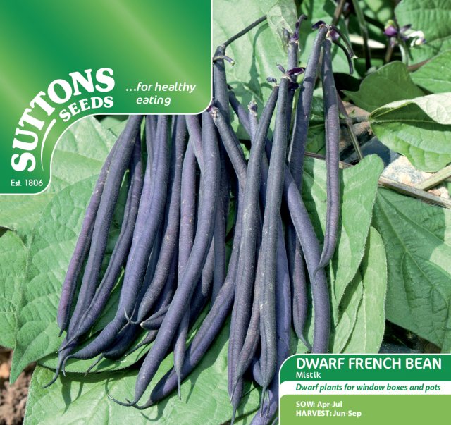 SUTTONS Dwarf French Bean Mistik Seeds