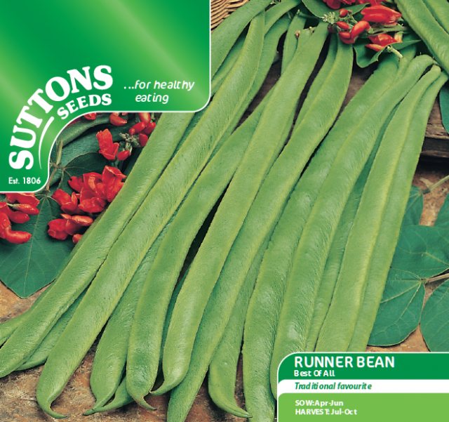 SUTTONS Runner Bean Best of All Seeds