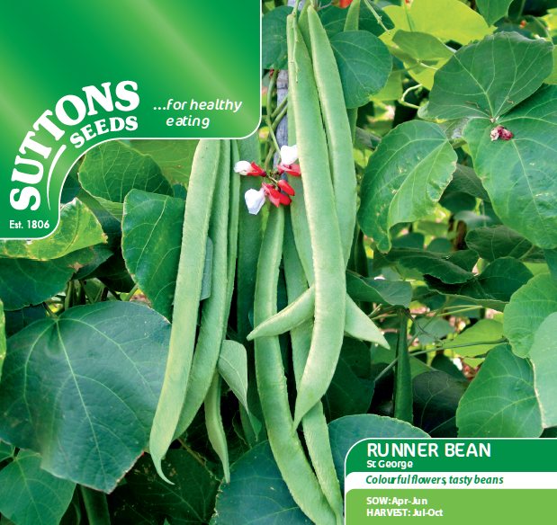 SUTTONS Runner Bean St George Seeds