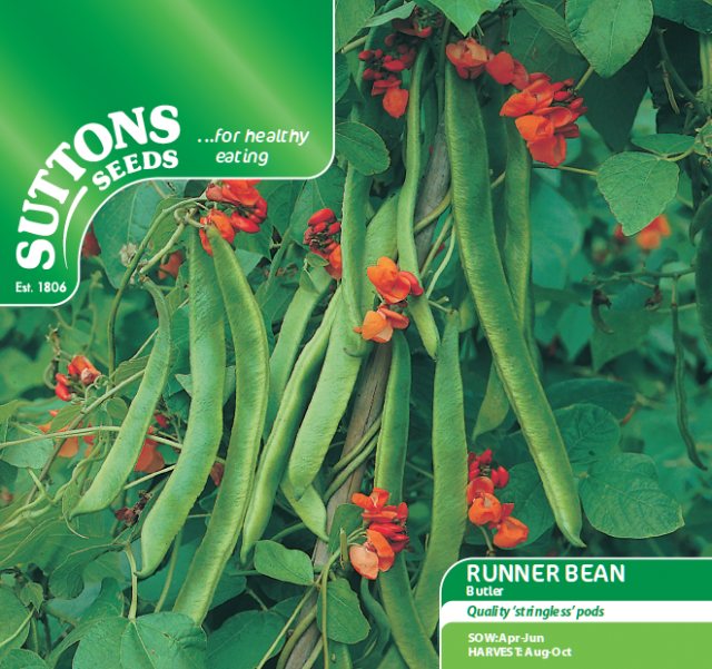 SUTTONS Runner Bean Butler Stringless Seeds