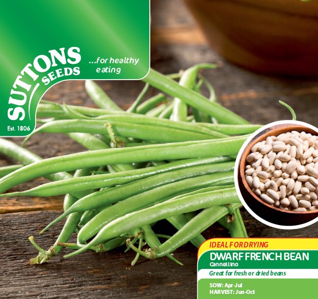 SUTTONS Dwarf French Bean Cannellino Lingot Seeds
