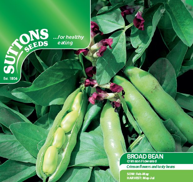 SUTTONS Broad Bean Crimson Flowered Seeds