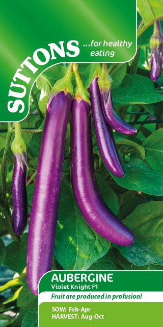 SUTTONS Suttons Aubergine Violet Knight F1 Seeds