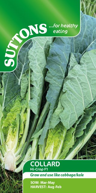 SUTTONS Suttons Collard Hi-Crop F1 Seeds