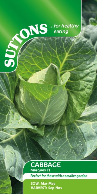 SUTTONS Suttons Cabbage Marques F1 Seeds